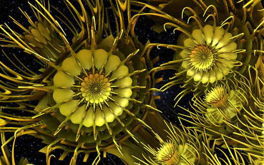 1274966 (a): :2560x1600